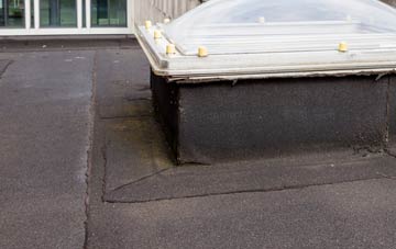 disadvantages of Winfrith Newburgh flat roofs