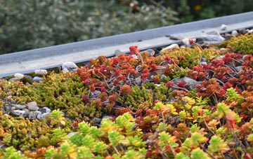 the cost of Winfrith Newburgh green roof installation