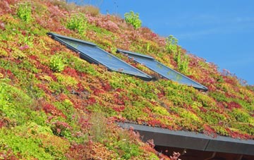 Winfrith Newburgh living roof systems