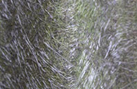 Winfrith Newburgh fibreglass roof work